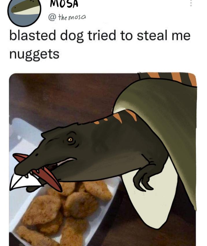 MOSA @themosa blasted dog tried to steal me nuggets
