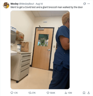 Wesley WesleyBout - Aug 14 Went to get a Covid test and a giant broccoli man walked by the door 17K 13 37K 584K 10M 口