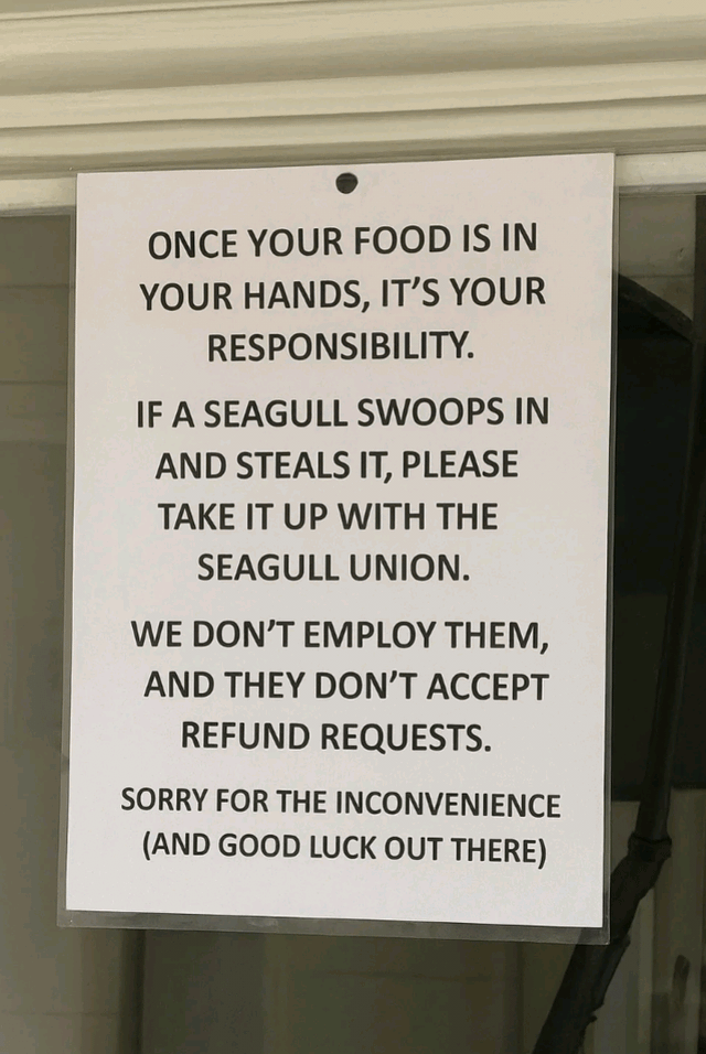 ONCE YOUR FOOD IS IN YOUR HANDS, IT'S YOUR RESPONSIBILITY. IF A SEAGULL SWOOPS IN AND STEALS IT, PLEASE TAKE IT UP WITH THE SEAGULL UNION. WE DON'T EMPLOY THEM, AND THEY DON'T ACCEPT REFUND REQUESTS. SORRY FOR THE INCONVENIENCE (AND GOOD LUCK OUT THERE)