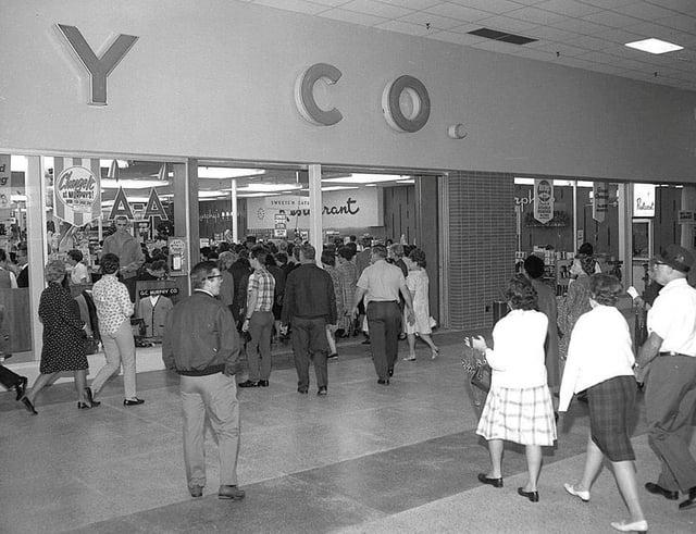 d g Y CO Changel urant