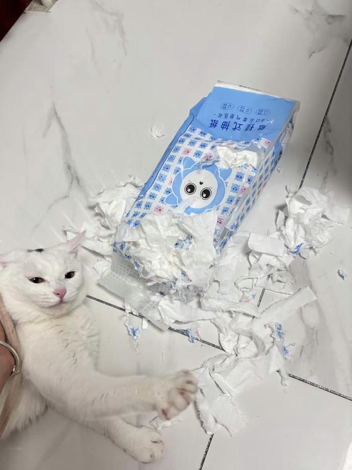 长挂式抽纸 40云柔气垫压花-