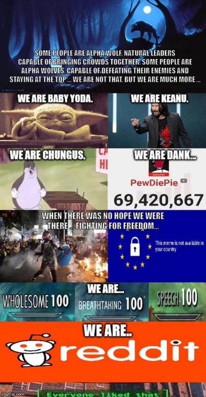 SOME PEOPLE ARE ALPHA WOLF. NATURAL LEADERS CAPABLE OF BRINGING CROWDS TOGETHER SOME PEOPLE ARE ALPHA WOLVES. CAPABLE OF DEFEATING THEIR ENEMIES AND STAYING AT THE TOP... WE ARE NOT THAT, BUT WE ARE MUCH MORE ... WE ARE BABY YODA. WE ARE KEANU. WE ARE CHUNGUS. CE HI WE ARE DANK... PewDiePie 69,420,667 WHEN THERE WAS NO HOPE WE WERE THERE FIGHTING FOR FREEDOM... This meme is not ava lable in your country WE ARE.... WHOLESOME 100 BREATHTAKING 100 WE ARE.. SPEECH 100 reddit imgflip.com Everyone liked that