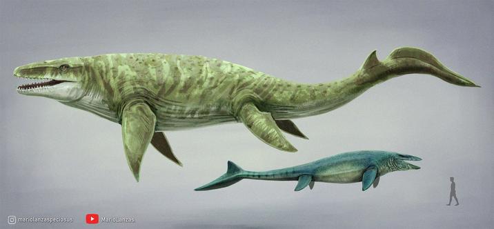 mariolanzaspeciosus MarioLanzas.