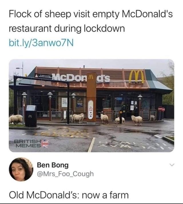 Flock of sheep visit empty McDonald's restaurant during lockdown bit.ly/3anwo7N BRITISH MEMES McDon Ben Bong @Mrs_Foo_Cough Old McDonald's: now a farm