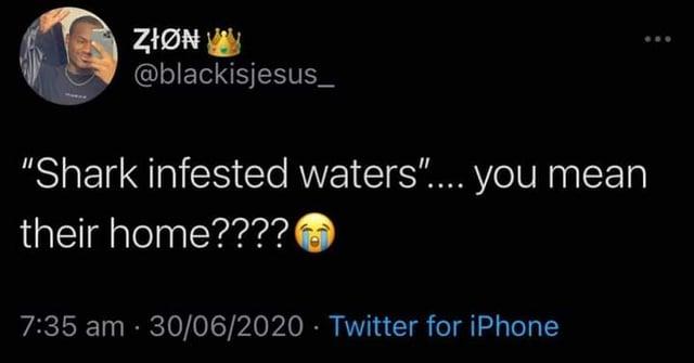 ZION @blackisjesus_ "Shark infested waters".... you mean their home???? 7:35 am 30/06/2020 Twitter for iPhone