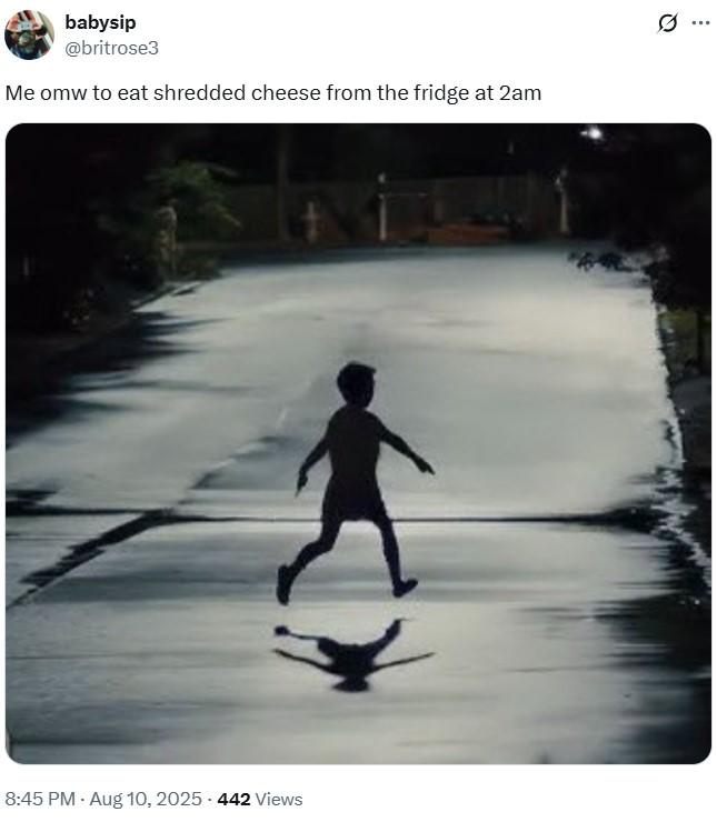 Shredded Cheese Fridge Meme