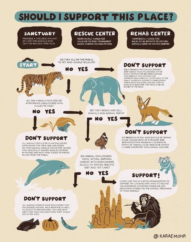 SHOULD I SUPPORT THIS PLACE? SANCTUARY PROVIDES A LIFELONG AMOUNT OF CARE FOR ANIMALS WHO CAN'T BE REALISED INTO WILD. RESCUE CENTER TEMPORARILY CARES FOR WILDLIFE TO FIND PERMANENT HOME AND/OR REHABILITATION. REHAB CENTER TEMPORARILY CARES FOR WILDLIFE IN EFFORTS TO RETURN ANIMALS BACK TO NATIVE HABITAT. DO THEY ALLOW THE PUBLIC TO PET AND HANDLE WILDLIFE? START NO YES DON'T SUPPORT ONLY TRAINED STAFF SHOULD INTERACT AND HANDLE WILDLIFE. DISEASES CAN BE EASILY TRANSMITTED BETWEEN HUMANS AND ANIMALS, WILD ANIMALS ARE UNPREDICTABLE AND CAN CAUSE HARM TO THE PUBLIC HANDLING ALSO PUTS UNNECESSARY STRESS ONTO WILDLIFE FORCING THEM TO ENGAGE IN BEHAVIOR THEY WOULD NEVER EXHIBIT IN THE WILD DO THE ANIMALS HAVE SPECIES APPROPRIATE ENCLOSURES WITH PLACES TO HIDE? NO YES DO THEY BREED AND SELL ANIMALS AND ANIMAL PARTS? NO YES DON'T SUPPORT ALL ANIMALS SHOULD BE IN AN ENCLOSURE APPROPRIATE FOR THEIR SIZE AND NEEDS. NO TWO ANIMALS SHOULD COHABITATE UNLESS THEY PEACEFULLY INHABIT SAME ECOSYSTEM IN NATURE AND MUST HAVE ACCESS TO HIDING PLACES FROM THE PUBLIC. DO ANIMAL ENCLOSURES MIMIC ACTUAL NATURAL HABITAT WITH ENRICHMENT, ACCESS TO SPECIES SPECIFIC DIET AND VET CARE? NO YES 7 DON'T SUPPORT NO BREEDING OF ANY KIND SHOULD BE TAKING PLACE UNLESS APART OF A RELEASE AND REINTRODUCTION PROGRAM. COMMERICAL PROFIT OF ANIMALS IS AN INDICATOR MONEY IS MORE IMPORTANT THAN ANIMAL WELFARE. DON'T SUPPORT ALL ANIMALS SHOULD HAVE ENCLOSURES THAT ENCOURAGE NATURAL WILD BEHAVIOR AS WELL AS ACCESS TO PROFESSIONAL VET CARE WITH DIETS THAT ONLY INCLUDE FOODS THEY WOULD EAT IN THE WILD. SUPPORT! LOOKS LIKE THIS IS A GOOD ORGANIZATION TO SUPPORT. TRY LOOKING INTO WAYS TO HELP BY VOLUNTEERING, DONATING FUNDS, OR JUST EDUCATING OTHERS ON THE ETHICAL TREATMENT OF WILD ANIMALS @KARAEMOHR