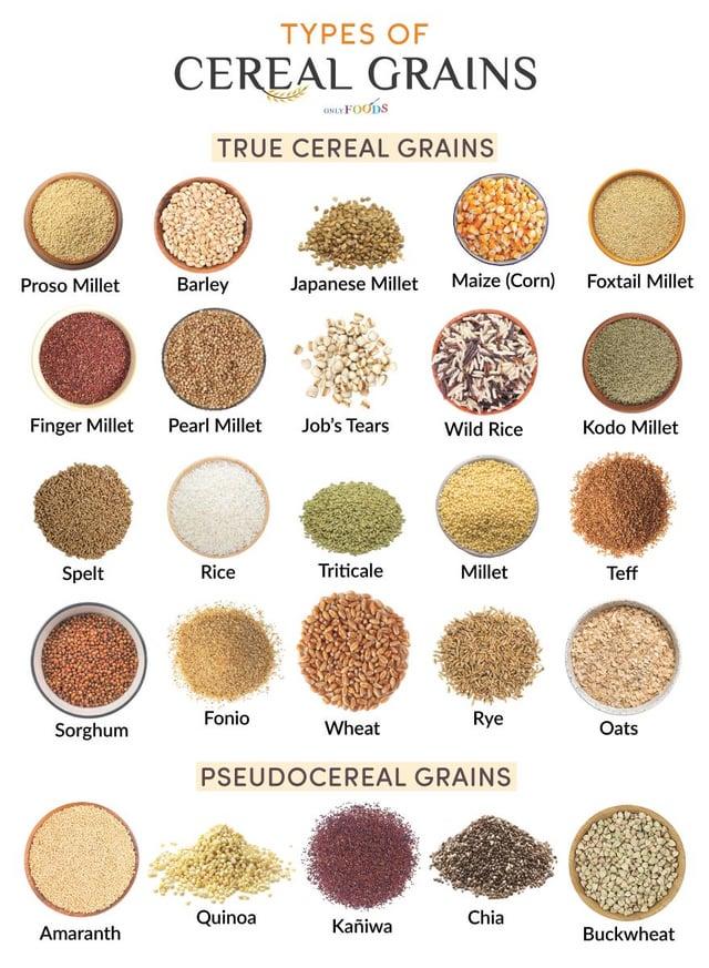TYPES OF CEREAL GRAINS ONLY FOODS TRUE CEREAL GRAINS Proso Millet Barley Japanese Millet Maize (Corn) Foxtail Millet Finger Millet Pearl Millet Job's Tears Wild Rice Kodo Millet Spelt Rice Triticale Millet Teff Fonio Sorghum Rye Oats Wheat PSEUDOCEREAL GRAINS Quinoa Chia Amaranth Kaniwa Buckwheat