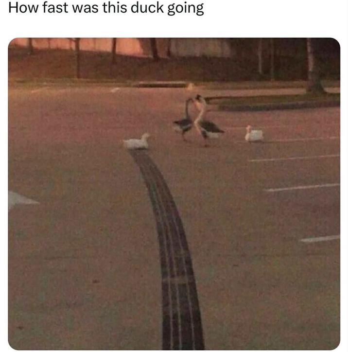 Tokyo drift | /r/memes | Know Your Meme