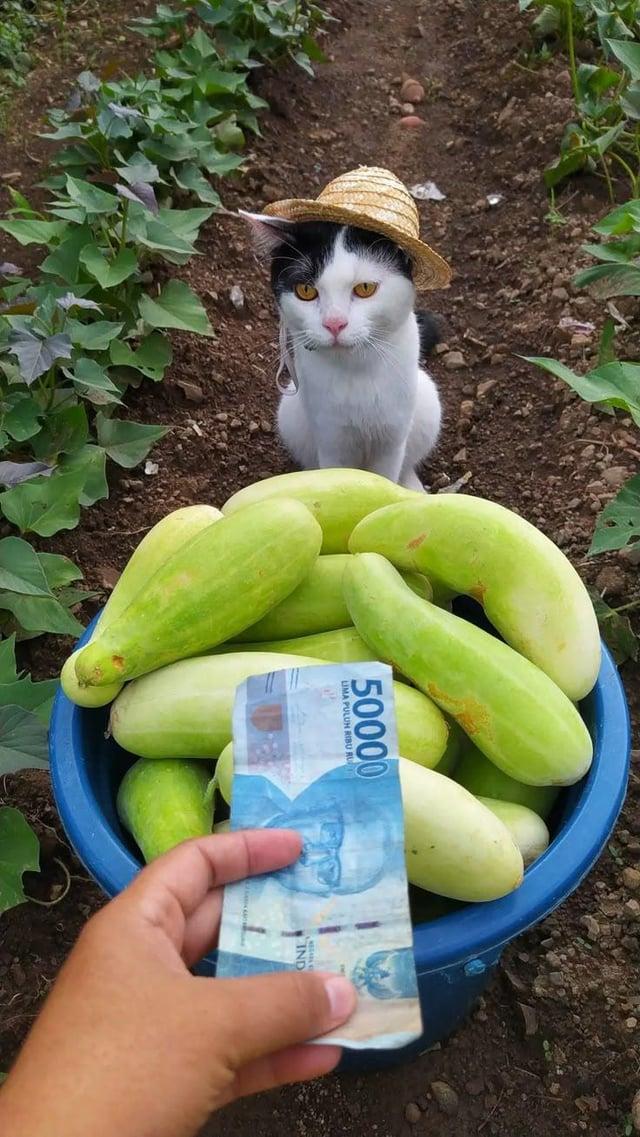 50000 LIMA PULUH RIBU RU IND