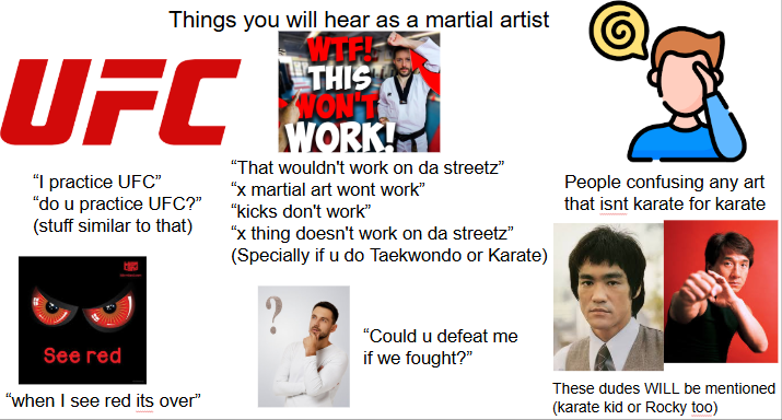 Things you will hear as a martial artist UFC "I practice UFC" "do u practice UFC?" (stuff similar to that) W--! THIS WON'TS WORK! "That wouldn't work on da streetz" "x martial art wont work" "kicks don't work" "x thing doesn't work on da streetz" (Specially if u do Taekwondo or Karate) People confusing any art that isnt karate for karate See red "when I see red its over" "Could u defeat me if we fought?" These dudes WILL be mentioned (karate kid or Rocky too)