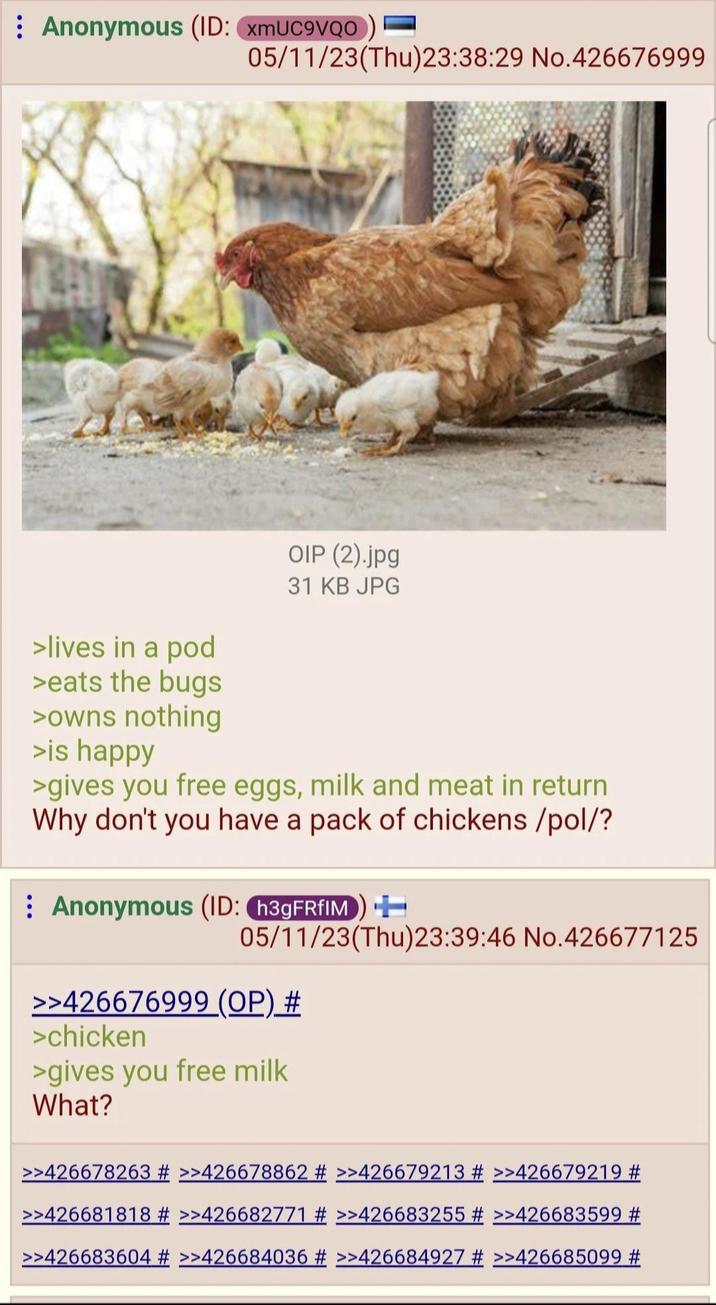Anonymous (ID: xmUC9VQO) = 05/11/23(Thu)23:38:29 No.426676999 >lives in a pod >eats the bugs >owns nothing >is happy OIP (2).jpg 31 KB JPG >gives you free eggs, milk and meat in return Why don't you have a pack of chickens /pol/? Anonymous (ID: h3gFRfIM) + 05/11/23(Thu)23:39:46 No.426677125 >>426676999 (OP) # >chicken >gives you free milk What? >>426678263 # >>426678862 # >>426679213 # >>426679219 # >>426681818 # >>426682771 # >>426683255 # >>426683599 # >>426683604 # >>426684036 # >>426684927 # >>426685099 #