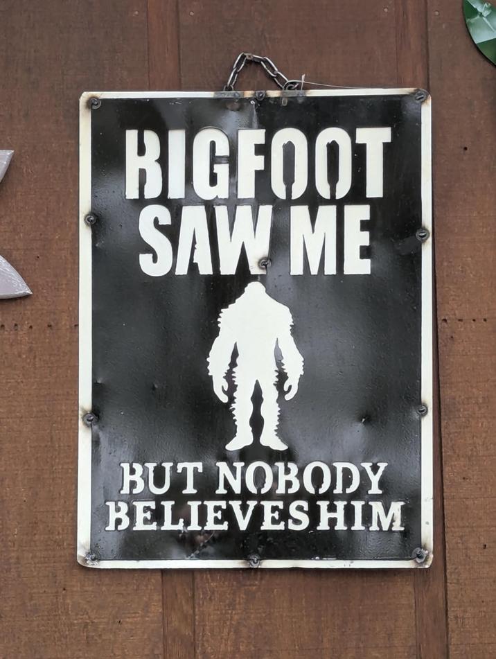 BIGFOOT SAW ME BUT NOBODY BELIEVES HIM