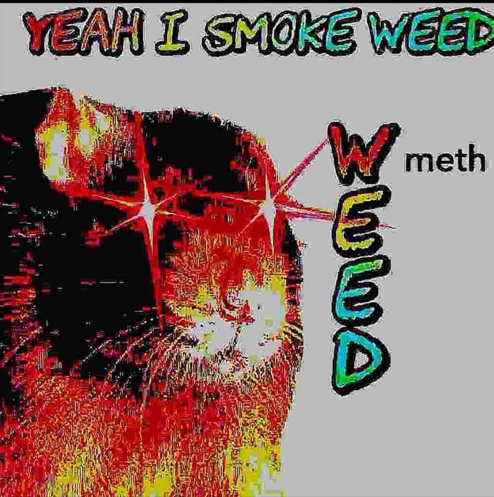YEAH I SMOKE WEED meth ZWWA