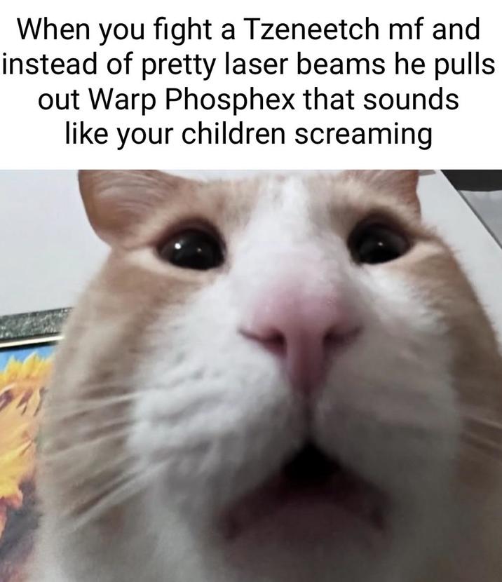 When you fight a Tzeneetch mf and instead of pretty laser beams he pulls out Warp Phosphex that sounds like your children screaming