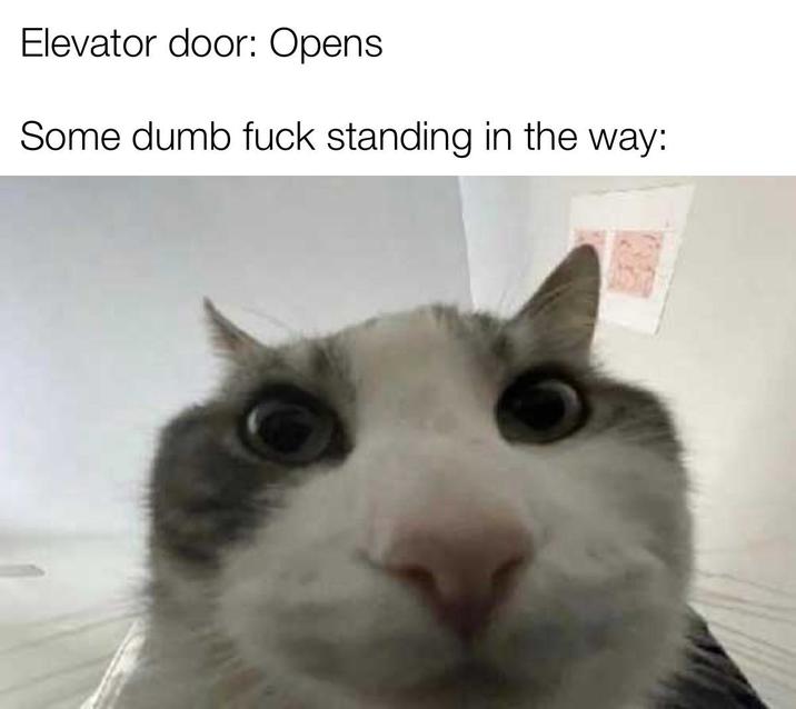 Elevator door: Opens Some dumb f--- standing in the way:
