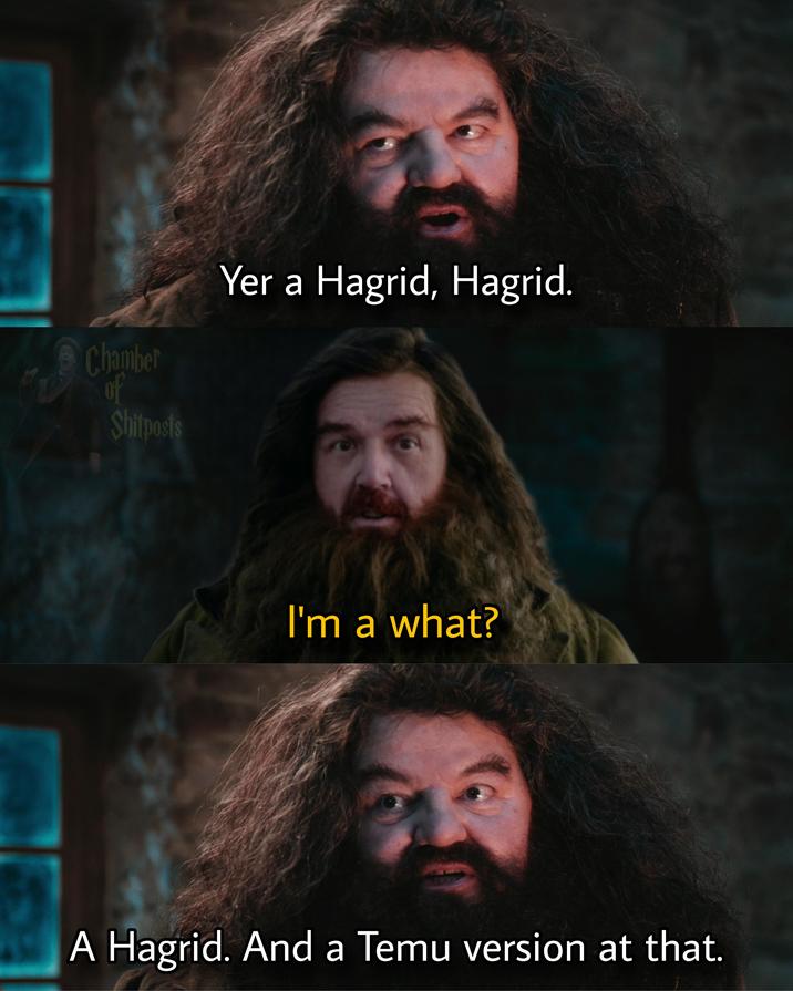 Chamber Yer a Hagrid, Hagrid. of Shitposts I'm a what? A Hagrid. And a Temu version at that.