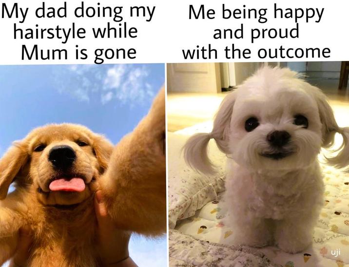 My dad doing my hairstyle while Mum is gone Me being happy and proud with the outcome am uji