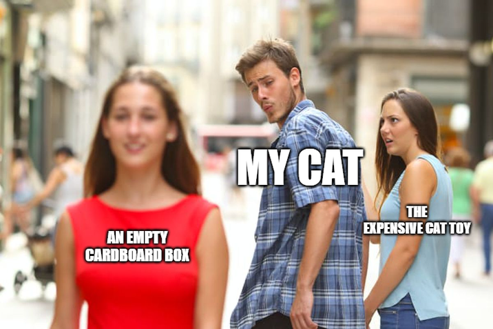 AN EMPTY CARDBOARD BOX MY CAT THE EXPENSIVE CAT TOY