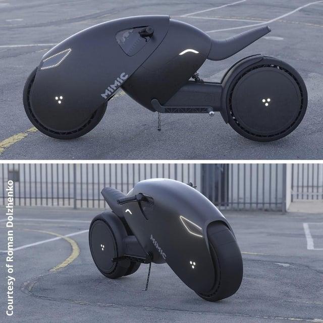 Courtesy of Roman Dolzhenko MIMIC