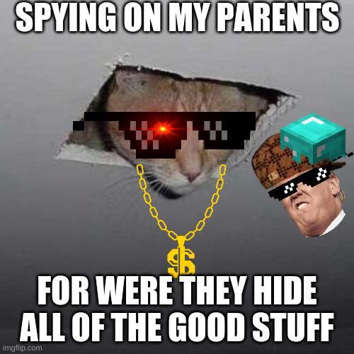 SPYING ON MY PARENTS FOR WERE THEY HIDE ALL OF THE GOOD STUFF imgflip.com