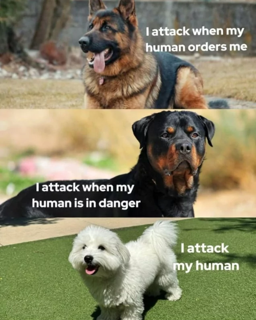 I attack when my human is in danger I attack when my human orders me I attack my human