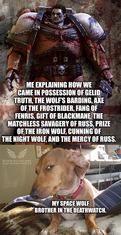 ME EXPLAINING HOW WE CAME IN POSSESSION OF GELID TRUTH, THE WOLF'S BARDING, AXE OF THE FROSTRIDER, FANG OF FENRIS, GIFT OF BLACKMANE, THE MATCHLESS SAVAGERY OF RUSS, PRIZE OF THE IRON WOLF, CUNNING OF THE NIGHT WOLF, AND THE MERCY OF RUSS. BLOOD RAVEN CHIEF AQUISITION OFFICER MY SPACE WOLF BROTHER IN THE DEATHWATCH.