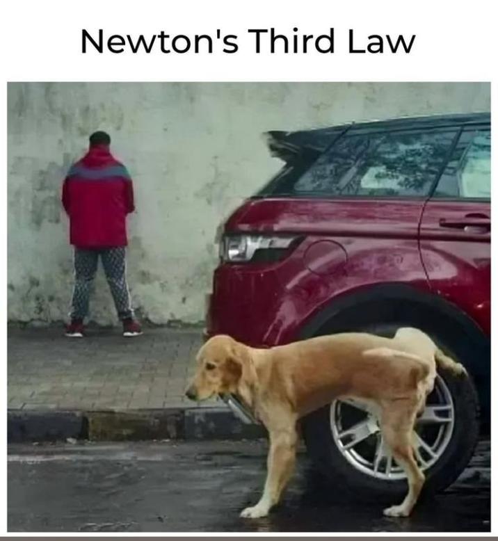 Newton's Third Law