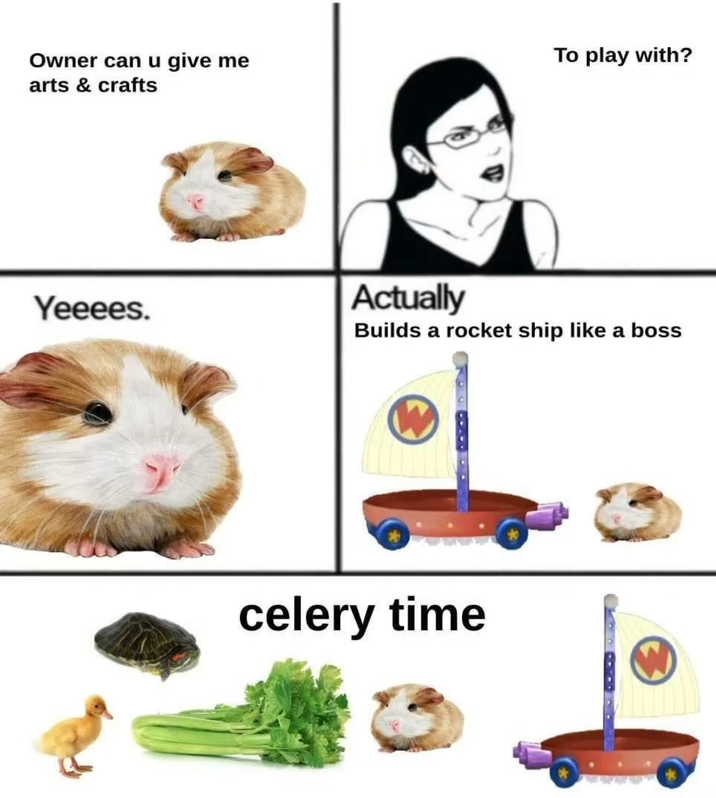Owner can u give me arts & crafts Yeeees. To play with? Actually Builds a rocket ship like a boss celery time