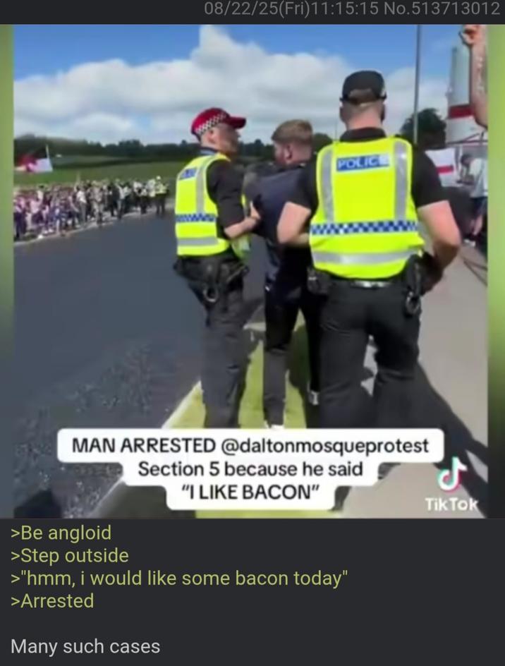 08/22/25(Fri)11:15:15 No.513713012 00000000 POLIC ww M Tik Tok MAN ARRESTED @daltonmosqueprotest Section 5 because he said >Be angloid >Step outside "I LIKE BACON" >"hmm, i would like some bacon today" >Arrested Many such cases