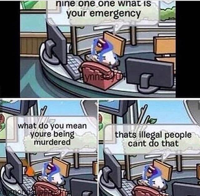 nine one one what is your emergency Lynnse what do you mean youre being murdered Voo thats illegal people cant do that Passion dslippkoh