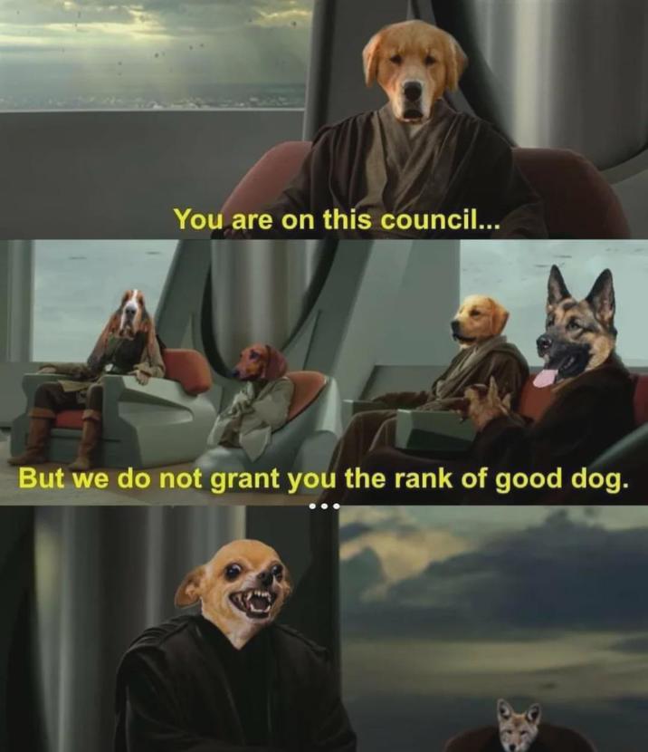 You are on this council... But we do not grant you the rank of good dog.