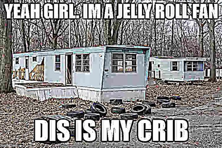 YEAH GIRL IM AJELLY ROLL FAN DIS IS MY CRIB