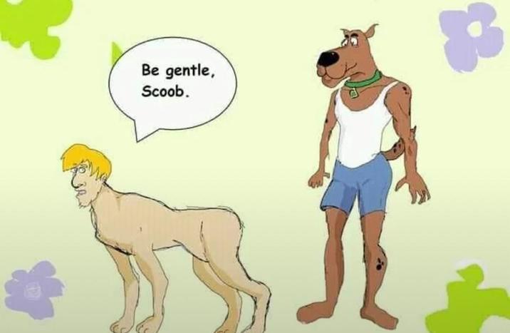 Be gentle, Scoob. 83