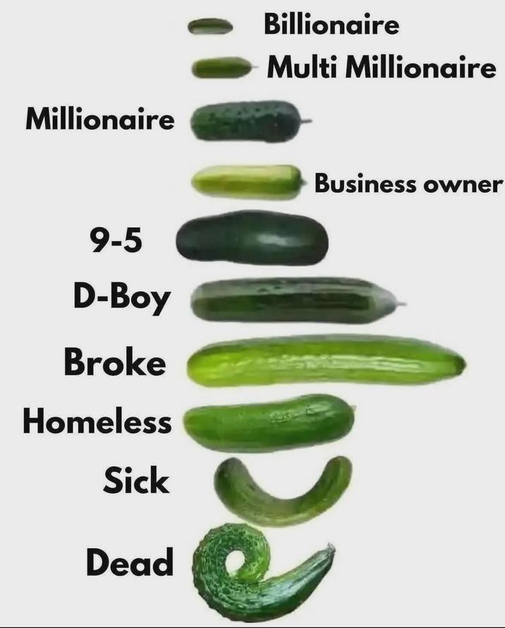 Millionaire Billionaire Multi Millionaire 9-5 D-Boy Broke Homeless Sick Dead Business owner