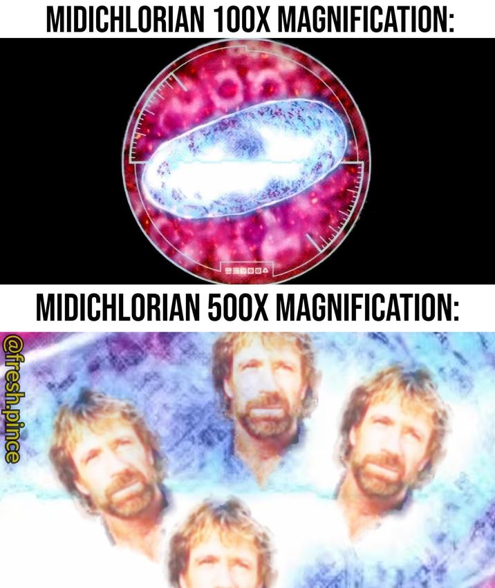 MIDICHLORIAN 100X MAGNIFICATION: MIDICHLORIAN 500X MAGNIFICATION: @fresh.pince