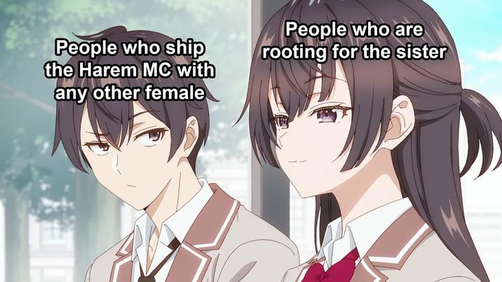 People who ship the Harem MC with any other female People who are rooting for the sister