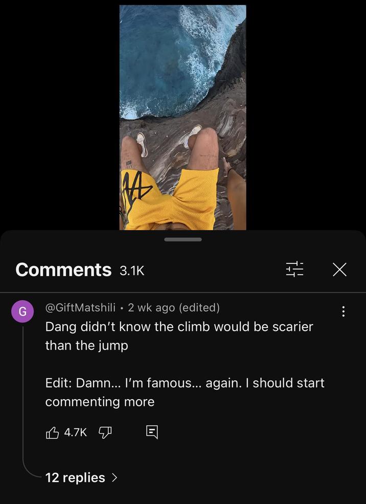 Comments 3.1K G @GiftMatshili ⚫2 wk ago (edited) + Dang didn't know the climb would be scarier than the jump Edit: Damn... I'm famous... again. I should start commenting more 4.7K 12 replies > Х