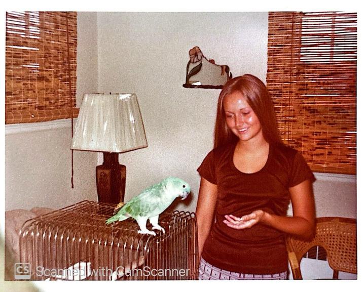 CS Scar with ComScanner