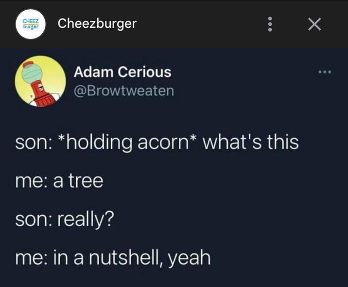CHEEZ burger Cheezburger Adam Cerious @Browtweaten : × son: *holding acorn* what's this me: a tree son: really? me: in a nutshell, yeah