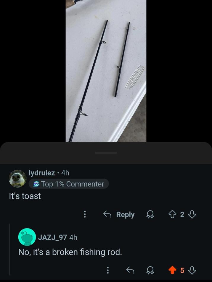lydrulez • 4h It's toast Top 1% Commenter ← Reply JAZJ_97 4h No, it's a broken fishing rod. LIFETIME ୪ 82♡ 5
