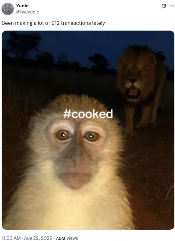 Been making a lot of $12 transactions lately A meme reading, "Been making a lot of $12 transactions lately." The meme uses an image of a monkey with a lion approaching it from behind. The image is hashtagged "#cooked."