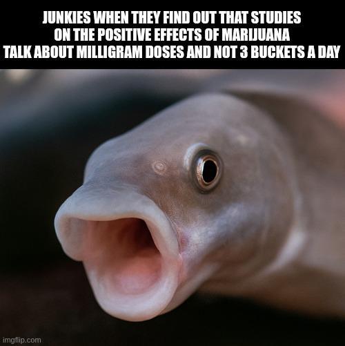 Impossible. Perhaps the archives are incomplete | /r/dankmemes | Know ...