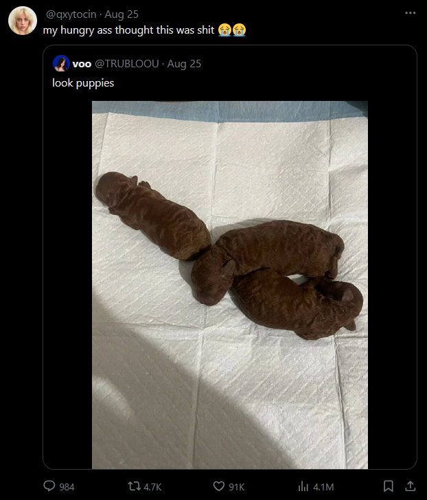 @qxytocin - Aug 25 my hungry ass thought this was s--- voo @TRUBLOOU - Aug 25 look puppies 984 tl 4.7K 91K ill 4.1M [ ↑ B