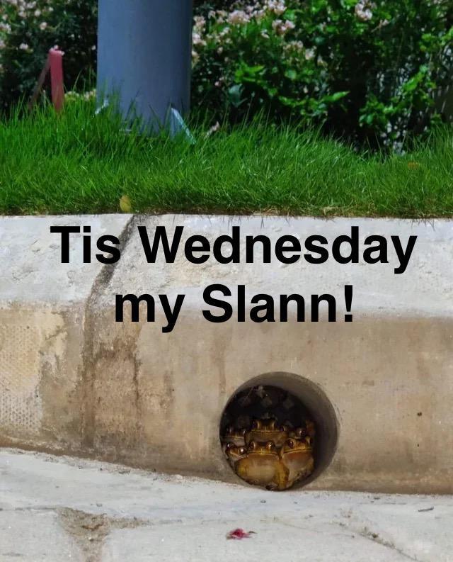 Tis Wednesday my Slann!