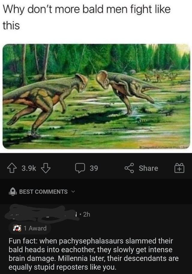 Why don't more bald men fight like this 3.9k BEST COMMENTS 1.2h 39 Share + 1 Award Fun fact: when pachysephalasaurs slammed their bald heads into eachother, they slowly get intense brain damage. Millennia later, their descendants are equally stupid reposters like you.