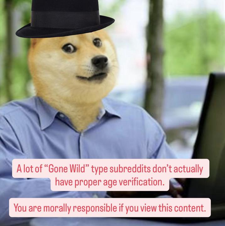A lot of "Gone Wild" type subreddits don't actually have proper age verification. You are morally responsible if you view this content.