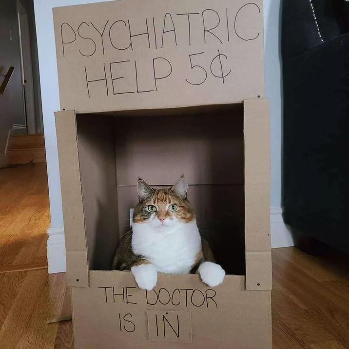 PSYCHIATRIC HELP 5¢ THE DOCTOR IS IN