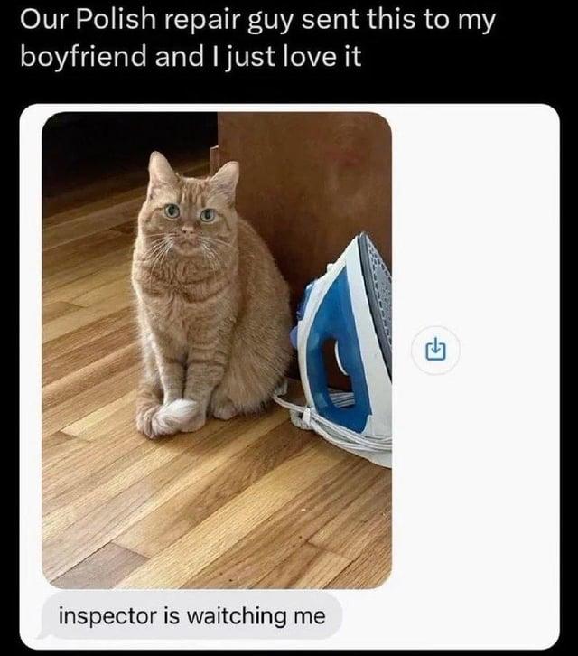 Our Polish repair guy sent this to my boyfriend and I just love it inspector is waitching me