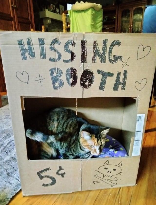 HISSING ♡ Q+BOOTH 5$